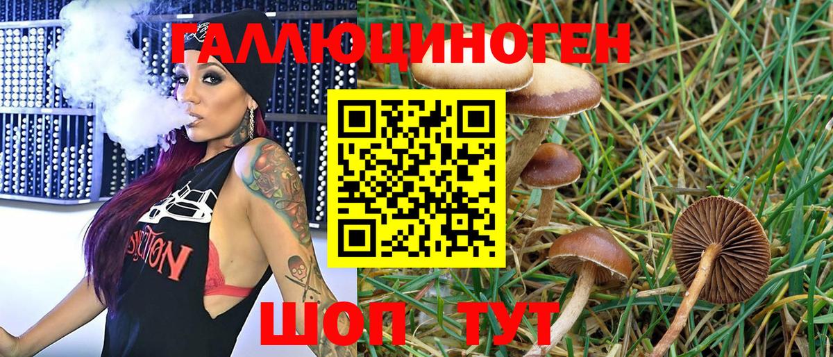 Псилоцибиновые грибы GOLDEN TEACHER  Вход с VPN  Нальчик 