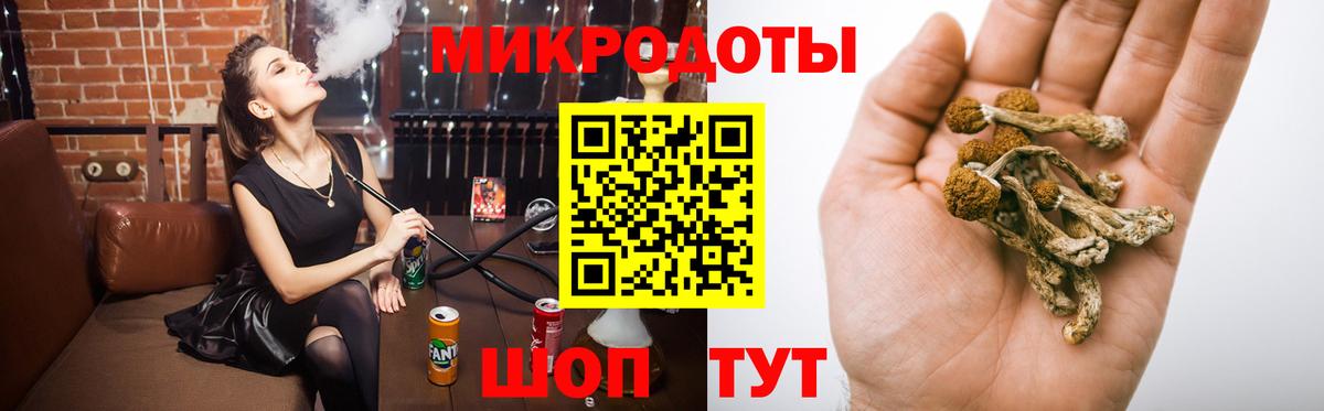 Псилоцибиновые грибы GOLDEN TEACHER Нальчик